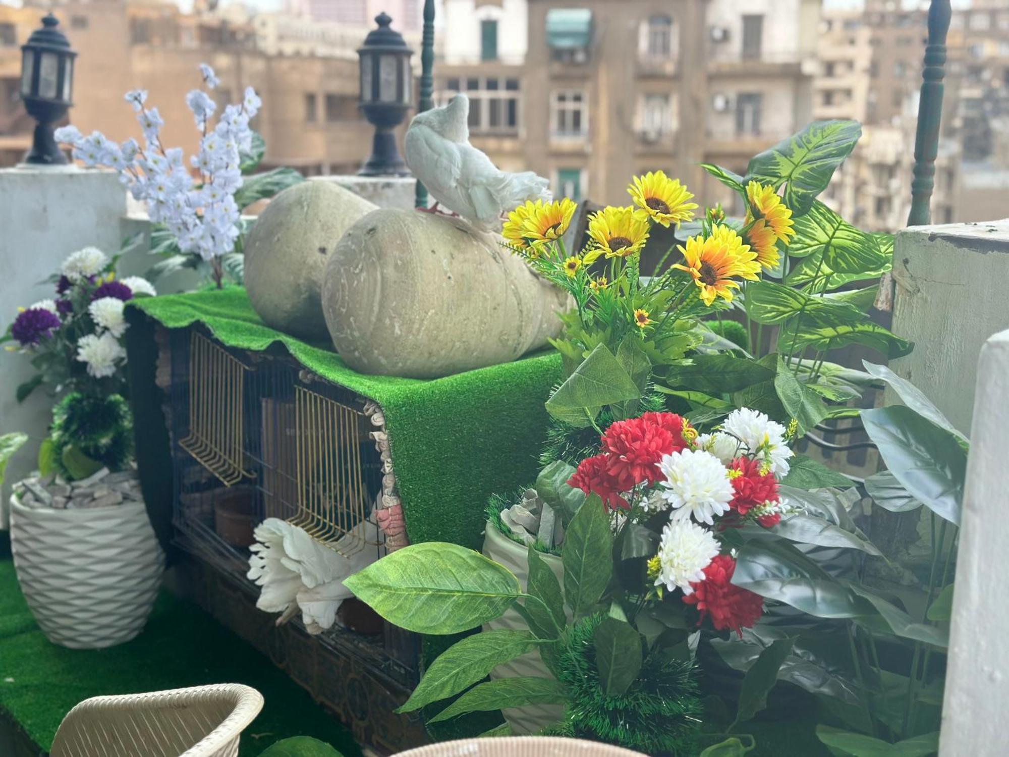 Cecilia Hostel Cairo